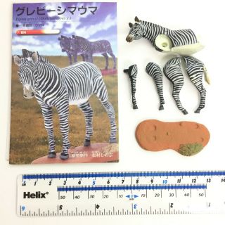 Red Data Animals Mini figure 3 Grevy ' s zebra Kaiyodo Furuta Japan 4