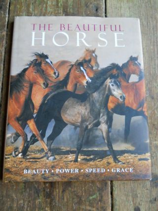 Vintage " The Horse " Hard Cover Book Full Of Color Pictures