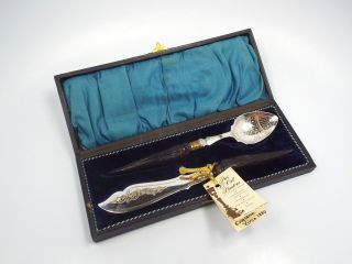 Antique Victorian Horn Handled Canape Knife & Spoon Engraved Design Set,  W/ Box