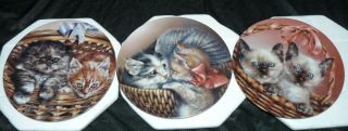 Set Of 3 Bradex Cat Collector Plates Alexei Isakov Baskets Of Love Series Mib
