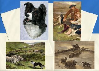 Border Collie Pack Of 4 Vintage Style Dog Print Greetings Note Cards 3