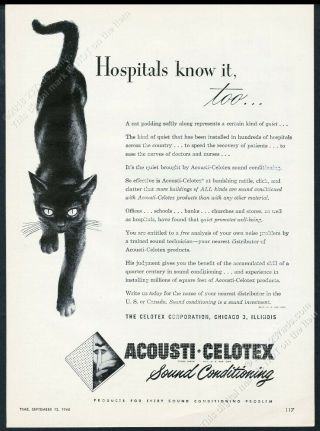 1948 Black Cat Art Celotex Sound Conditioning Vintage Print Ad