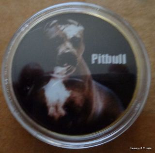 Dog Pit Bull 24k Gold Plated 40 Mm Coin