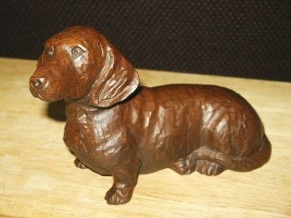 Brown Pecan Dachshund By Red Mill