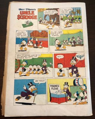 Dell Walt Disney Uncle Scrooge Comic Book No.  495 Copyright 1953 MP013 4
