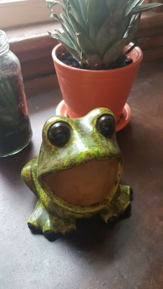 Ceramic Frog Sponge Holder - Vintage From The 70 