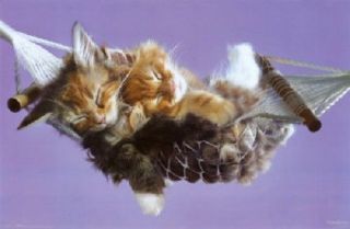Keith Kimberlin Kittens In Hammock Poster 34x22 Fast