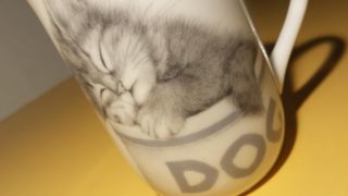 Vintage Otagiri Cat Kitten Sleeping In Dog Bowl Mug Cup Jonahs Workshop Japan