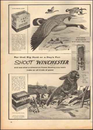 1955 Vintage Ad For Winchester Shotgun Shells`art Rabbit Goose (011418)