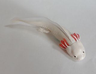 Capsule Toy Realistic Axolotl Ambystoma Mexicanum Magnet Gashapon White