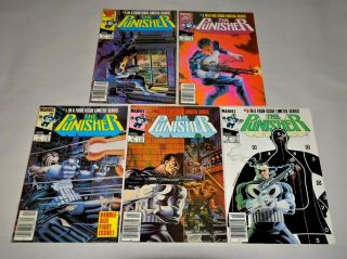 Punisher Limited 1 2 3 4 5 Complete Series 1986 Mike Zeck All Newsstand Variants