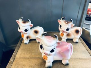 Vintage Bone China Miniature Cow Bull Figurines Set Of 3 Very Cute Japan