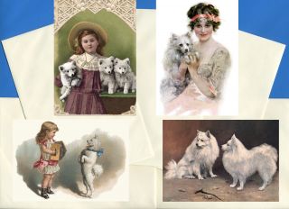 Pomeranian Spitz Pack Of 4 Vintage Style Dog Print Greetings Note Cards 1