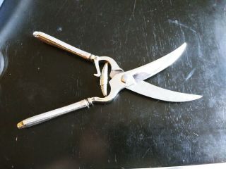 Antique Sterling Silver Poultry Shears J.  A.  Henckels Twinworks Germany 9.  1 Oz