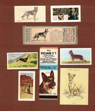 German Shepherd Dog Cigarette Trade Cards Set Of 8