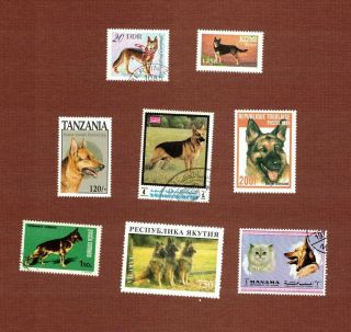 German Shepherd Dog Postage Stamps Set Of 8