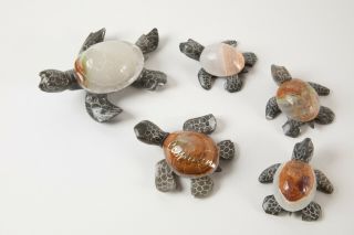 Authentic collectible family set of stone sea turtles from the Cayman Islands 3