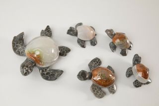 Authentic collectible family set of stone sea turtles from the Cayman Islands 4