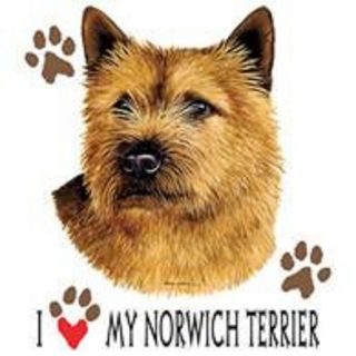 Norwich Terrier Love Tote