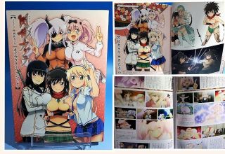 Senran Kagura Character Fan Book Tv Anime 2013 Illustration Book Art Japan