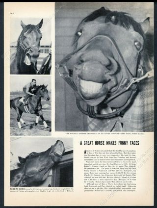 1938 Seabiscuit Race Horse 4 Photo Vintage Print Article
