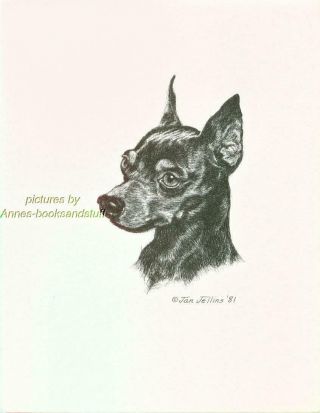 287 Miniature Pinscher Min Pin Dog Art Print Pen & Ink Drawing By Jan Jellins