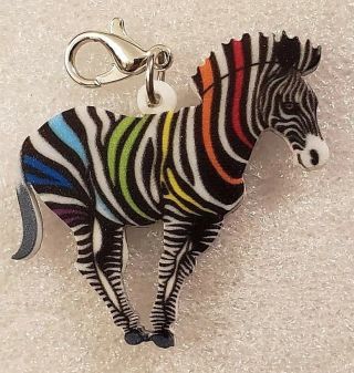 Zebra Rainbow Stripes Double - Sided Acrylic Purse Charm Zipper Pull Jewelry