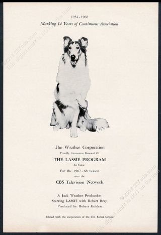 1967 Lassie Collie Photo The Lassie Program Tv Show Unusual Vintage Trade Ad