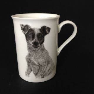 Heath Mccabe Jack Russell Terrier Dog Fine China Mug Joanne T.  Kell Made England