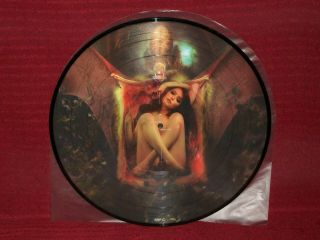 Cradle Of Filth - Hammer Of The Witches 2x Picture Disc LP Limited Import Gatefold 8