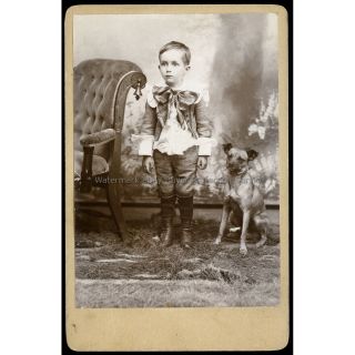 1880s Cute Little Boy & His Puppy Cabinet Photo Crazy Same Looking Eyes Dog