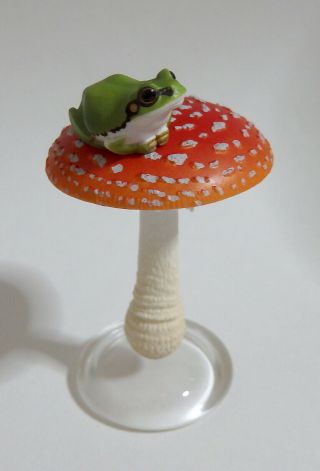 Capsule Toy Realistic Japanese Tree Frog And Fly Agaric Gashapon Japan