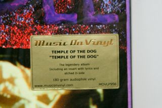 Temple of the Dog 12 