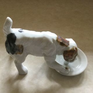 Jack Russell Royal Doulton? Figurine.  Foot On Dish,  Eating Flawless 5”