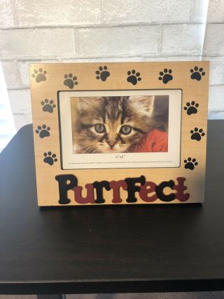 Purrfect Pet Picture Frame For 4 " X 6 " Photo