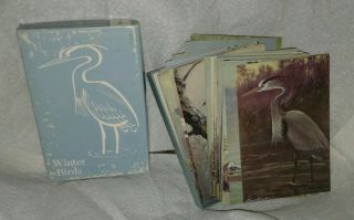 Audubon Aids 50 Winter Bird Cards Set - - Vintage 1970 National Audubon Society