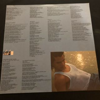 Ricky Martin ‎– Ricky Martin - Vinyl LP 1991 Chayanne Arjona Iglesias Luis Migue 6