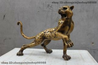 22 " Chinese Folk Feng Shui Copper Bronze Panther Leopard Animal Statue