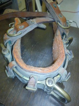 Vintage Horse Tack Brass And Leather Halter? Pony Collar.