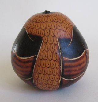 Gourd Owl Bird Carved 2 3/4 