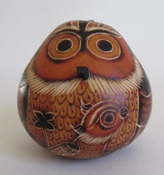 Gourd Owl Bird Carved 2 3/4 