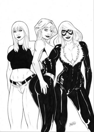 Spider - Gwen,  Black Cat,  Gwen Stacy (11 " X17 ") By Mateus Duarte - Ed Benes Studio