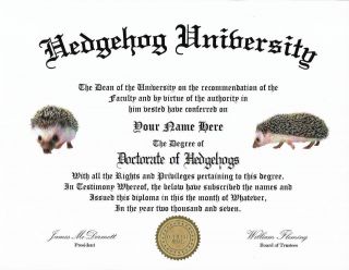Diploma For A Hedgehog Lover, .  Great Conversation Piece,  Great Gift