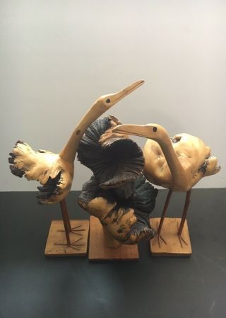 Vintage Set Of 3 Hand Carved Burlwood Births Sculpture.
