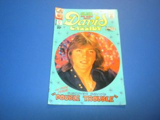 David Cassidy 7 Charlton Comics 1972 Star Of The Partridge Family Teen Idol