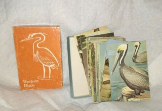 Audubon Aids 50 Western Bird Cards Set - - Vintage 1970 National Audubon Society