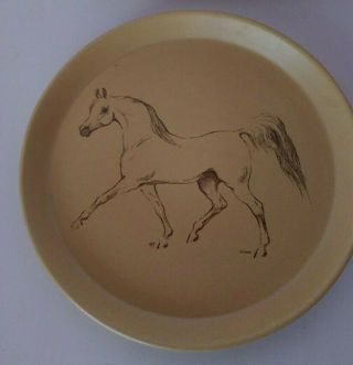 Rare Arabian Horse Crescendo Mementos Pottery Plate Honiton England