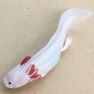 Nature Techni Colour Mini Figure Magnet Axolotl Mexican Salamander Leucistic
