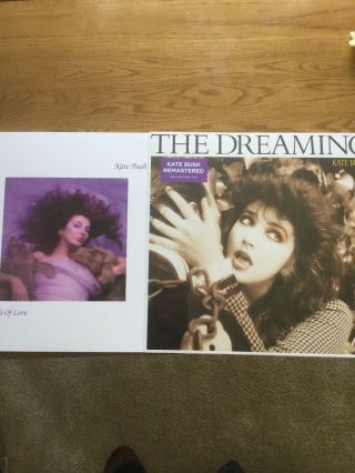 Kate Bush Remastered Vinyl Hounds Of Love And The Dreaming