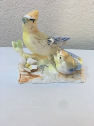 Yellow Cardinal With Chick Bone Fine China Figurine